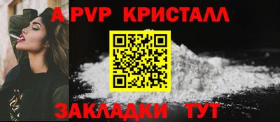 стаф Тула
